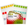 Gold Sovereign Index Tabs Peel & Stick 10x30mm Multi-Coloured Pack of 108