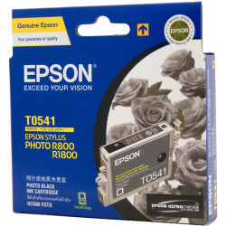 Epson C13T054190 - T0541 Ink Cartridge Black