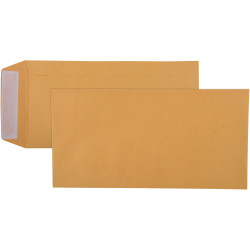 Cumberland Plain Envelope Pocket DLX Strip Seal Gold Box Of 500