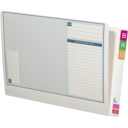 Avery Lateral Notes File Standard White Box of 100