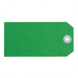 Avery Coloured Shipping Tags Size 5 Green | Box 1000