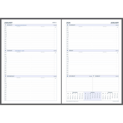 Debden Dayplanner Refill Executive A4 Dated Week To View